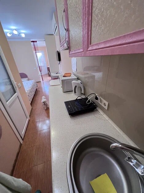 Гостевой дом Гостевой дом Вишневских Судак-83