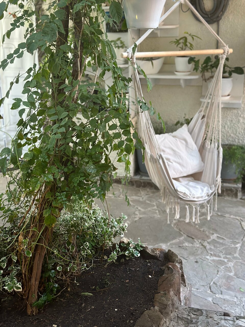 Гостевой дом Гостевой дом Вишневских Судак-42