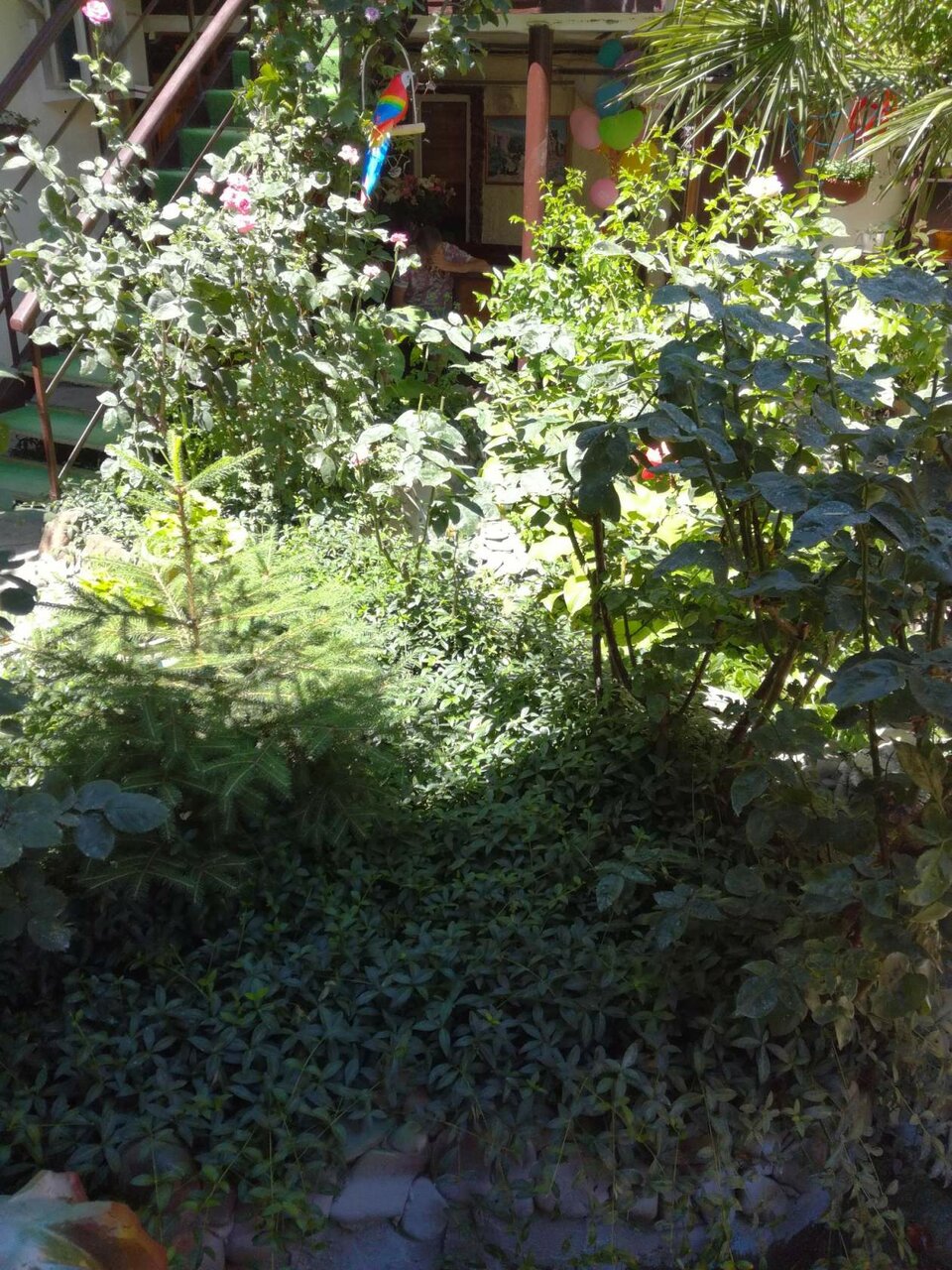 Гостевой дом Гостевой дом Вишневских Судак-113