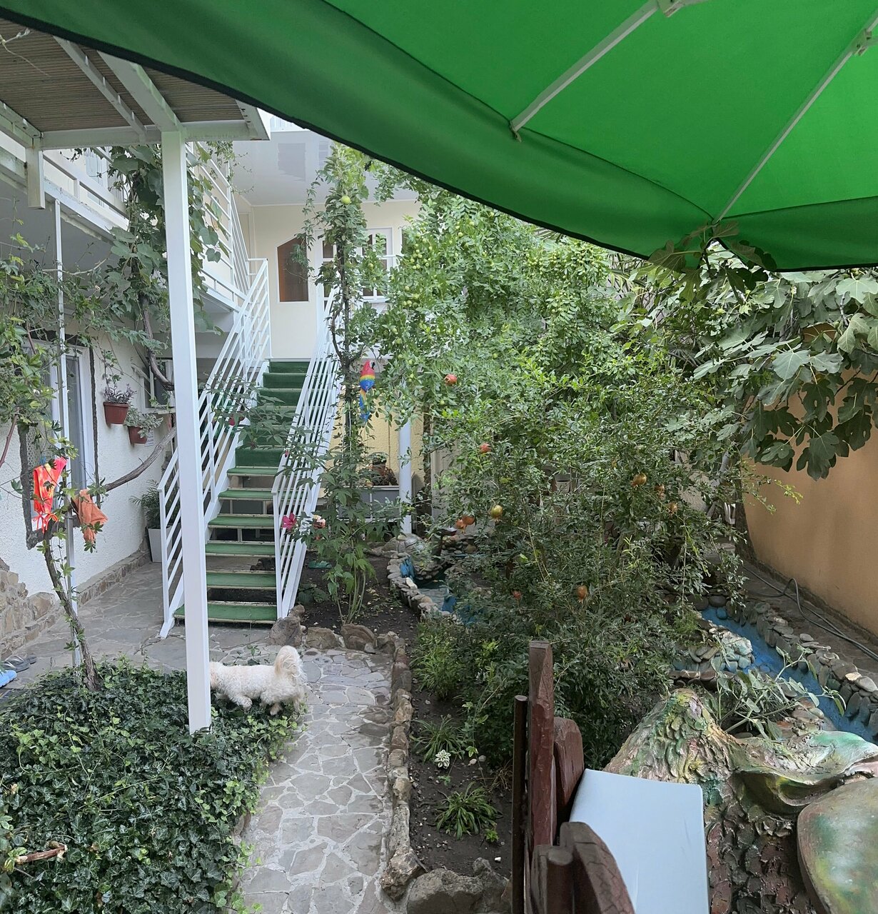 Гостевой дом Гостевой дом Вишневских Судак-67