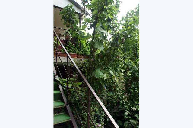 Гостевой дом Гостевой дом Вишневских Судак-52