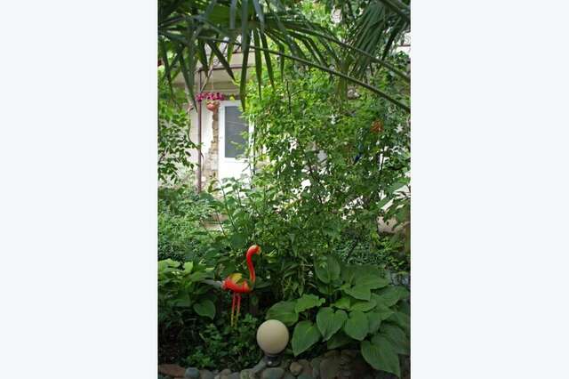 Гостевой дом Гостевой дом Вишневских Судак-16