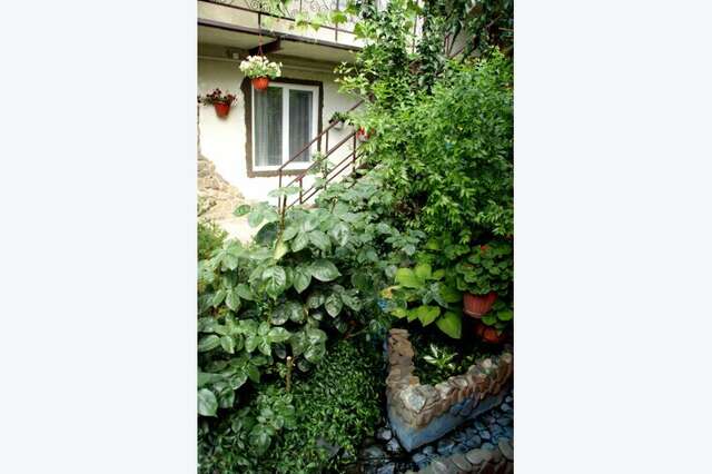 Гостевой дом Гостевой дом Вишневских Судак-42