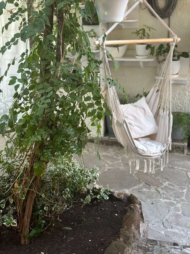 Гостевой дом Гостевой дом Вишневских Судак-41