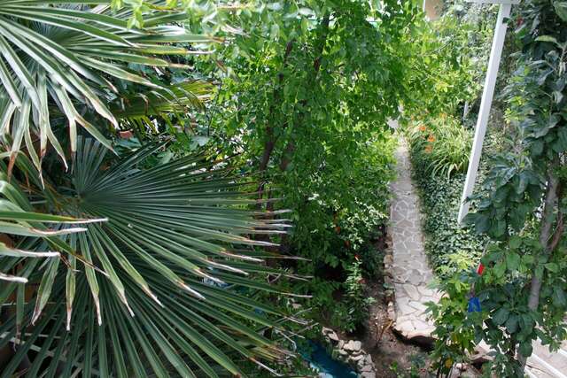 Гостевой дом Гостевой дом Вишневских Судак-107